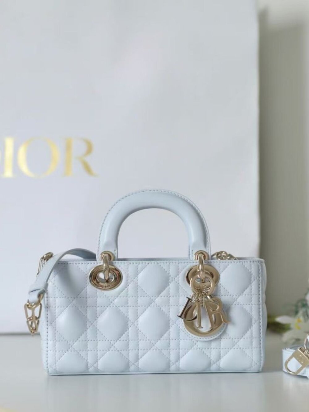 Classic DIOR Bag: A Stylish and Versatile Choice for Elegance
